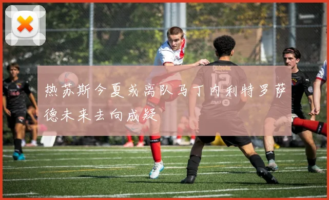 热苏斯今夏或离队马丁内利特罗萨德未来去向成疑